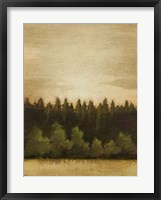 Treeline Sunset II Framed Print