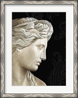 Framed Aphrodite