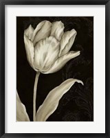Classical Tulip I Framed Print