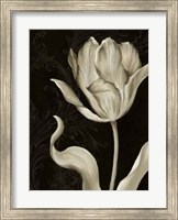 Framed Classical Tulip II