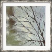 Framed Diffuse Branches I
