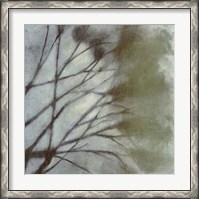 Framed Diffuse Branches II