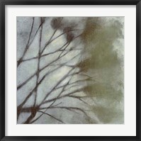 Diffuse Branches II Framed Print