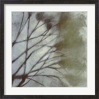 Framed Diffuse Branches II