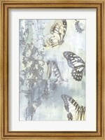 Framed Flutter II