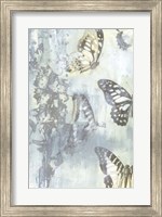 Framed Flutter II