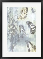 Flutter II Framed Print