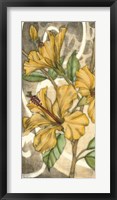 Hibiscus Song I Framed Print