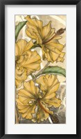 Hibiscus Song II Framed Print