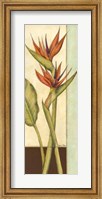 Framed Tropicana Botanical II