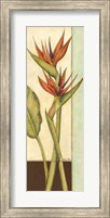 Framed Tropicana Botanical II