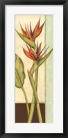 Tropicana Botanical II Framed Print