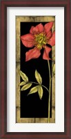 Framed Floral Inset II
