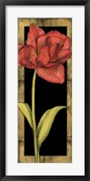 Framed Floral Inset III