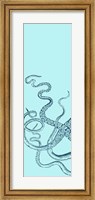 Framed Octopus Triptych I