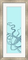 Framed Octopus Triptych I
