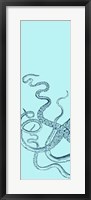 Octopus Triptych I Framed Print