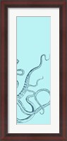 Framed Octopus Triptych III