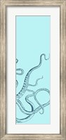 Framed Octopus Triptych III