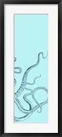 Octopus Triptych III Framed Print