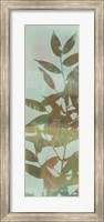 Framed Leaf Overlay II