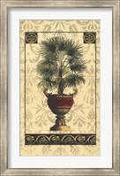 Framed Palm of the Islands I