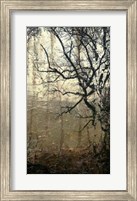 Framed Wooded Solace III
