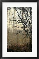 Framed Wooded Solace III