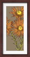 Framed Graphic Flower Panel I