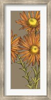 Framed Graphic Flower Panel I