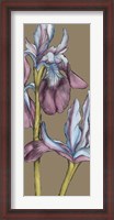 Framed Graphic Flower Panel III