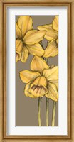 Framed Graphic Flower Panel IV
