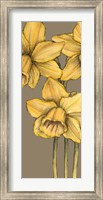 Framed Graphic Flower Panel IV
