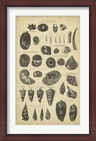 Framed Study of Shells II