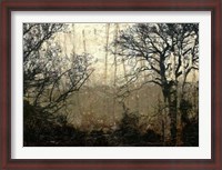 Framed Wooded Solace II