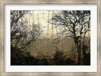 Framed Wooded Solace II