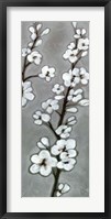 White Blossoms II Framed Print