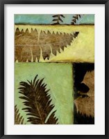 Framed Fossilized Ferns IV