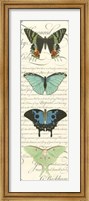 Framed Butterfly Prose Panel II