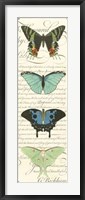 Butterfly Prose Panel II Framed Print