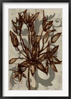 Framed Rustic Allium