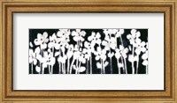 Framed White Flowers on Black II