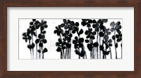 Framed Black Flowers on White I