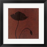 Framed Poppy