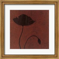 Framed Poppy