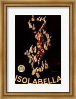 Framed Isolabella