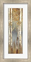 Framed Butterscotch Birch Trees I