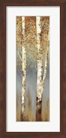 Framed Butterscotch Birch Trees II