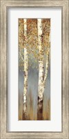 Framed Butterscotch Birch Trees II