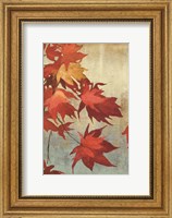 Framed Maple Leaves I